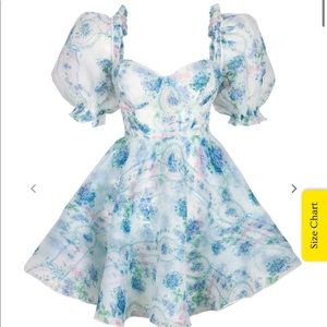 Selkie La Belle Etoile Parliament Dress